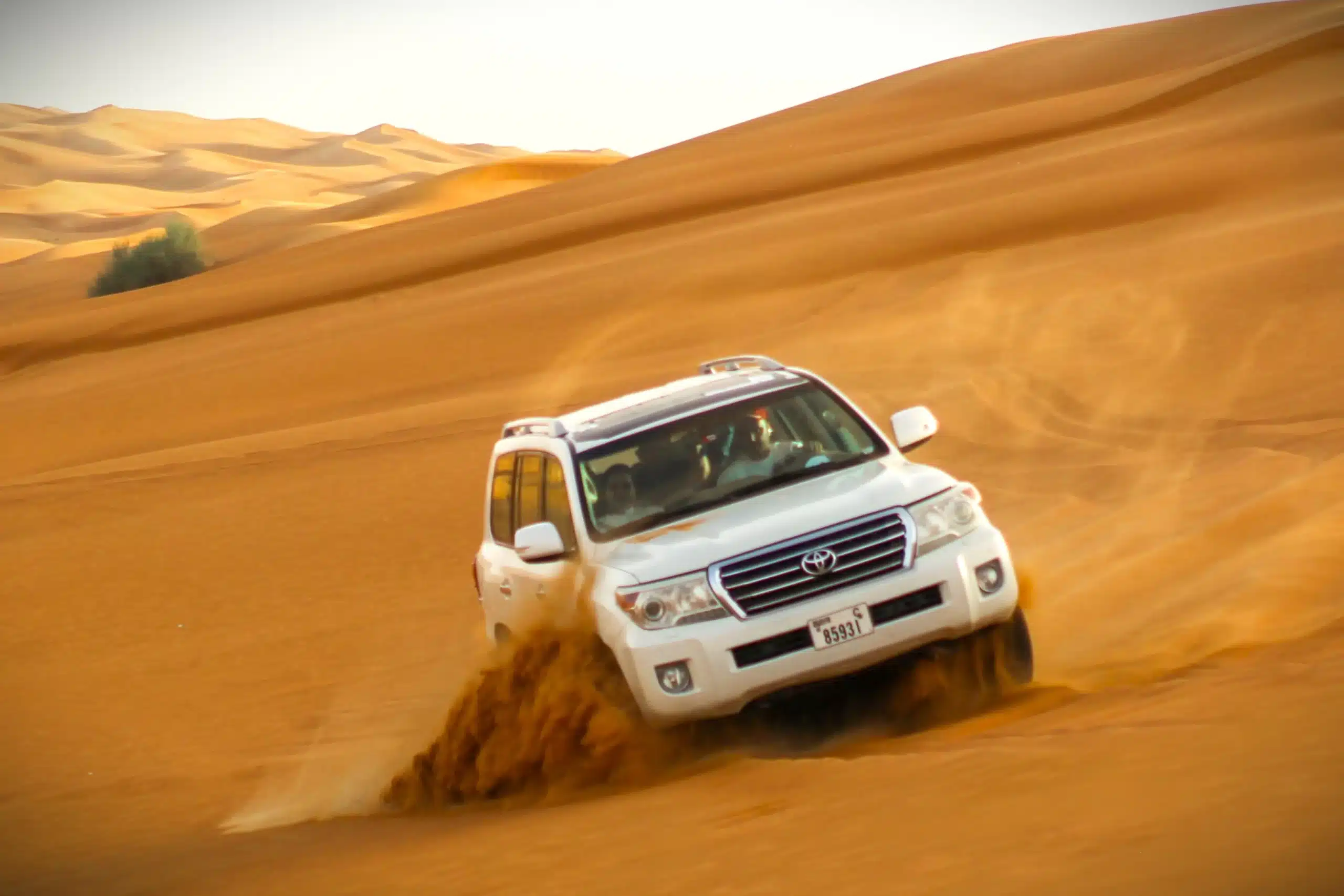 Private Desert Safari Dubai in 4x4