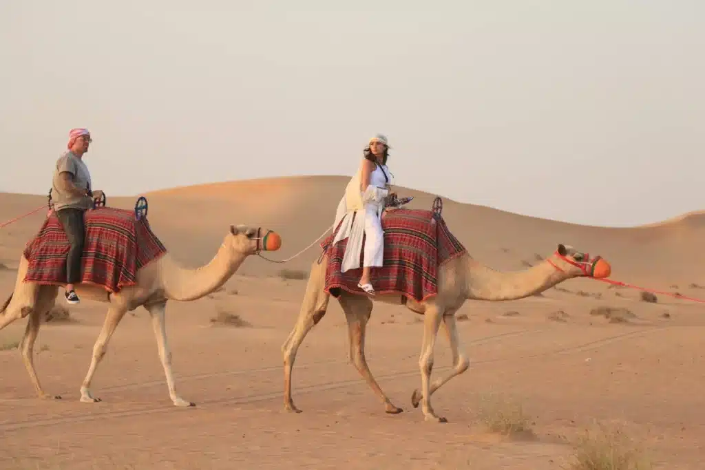 guest Riding camel in Desert Safari Dubai